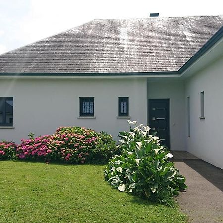 Maison L'Allee Des Arums Oloron-Sainte-Marie Exteriör bild